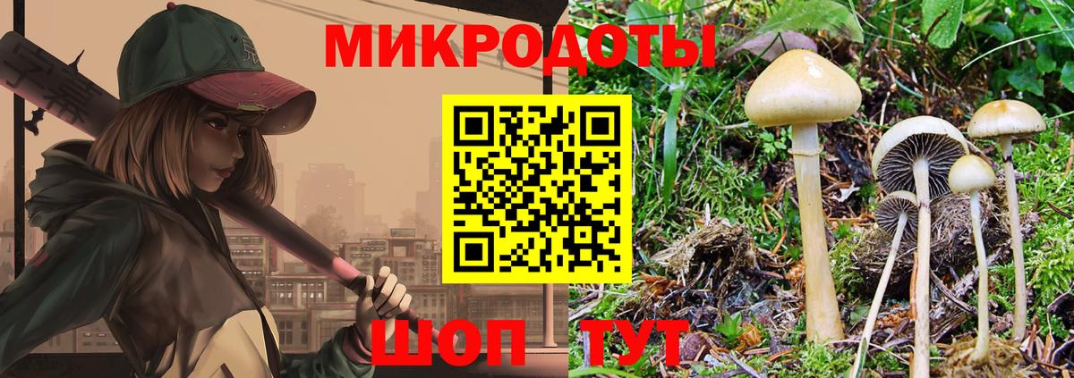 Галлюциногенные грибы ЛСД Заречный